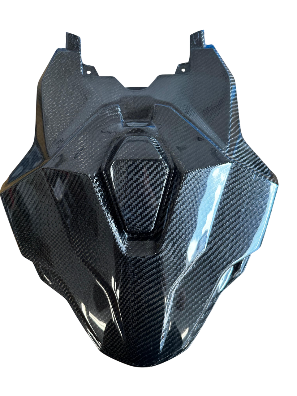 2023 + s1000rr one piece race tail